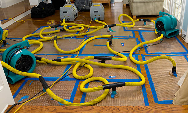 Professional Basement Flood Cleanup technician working in Pescadero, CA